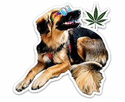 CBD pro domácí mazlíčky