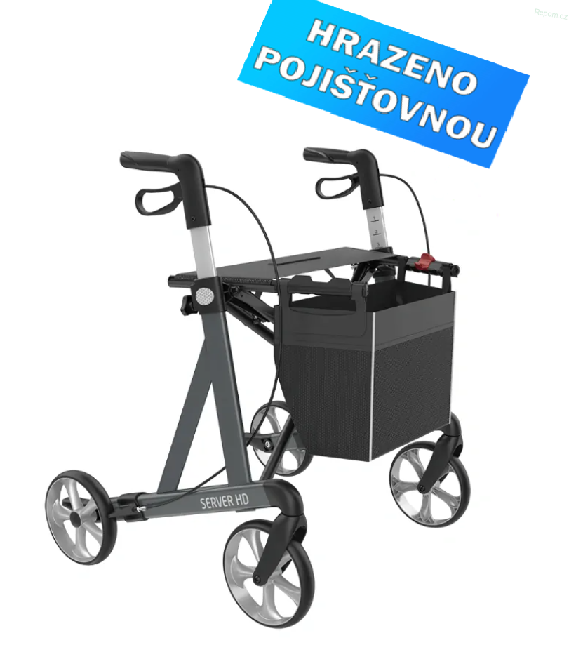Chodítko s vysokou nosností SERVER HD