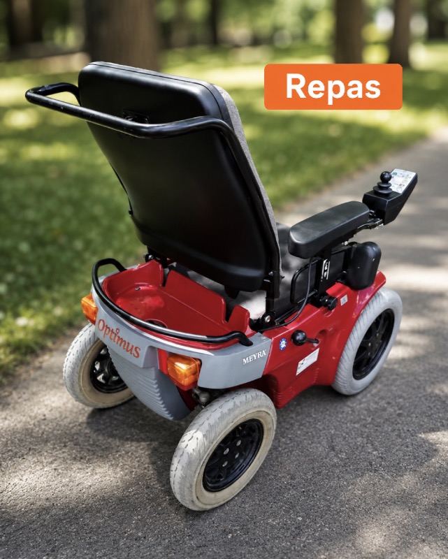 REPAS: Terénní elektrický vozík MEYRA OPTIMUS 1
