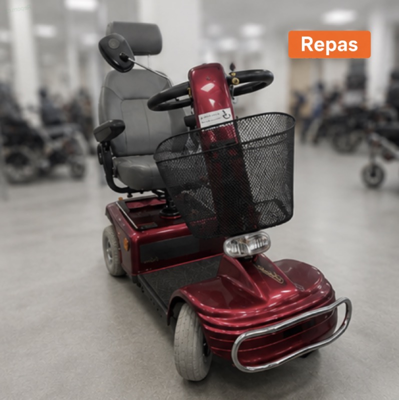 REPAS: Elektrický skútr pro seniory ORION, MEYRA, SHOPRIDER, PRIDE